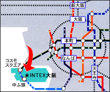 Intex Osaka Ovwe View